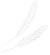 animated-image-right