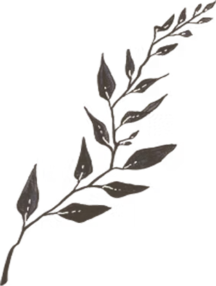 Reveal from Right Image